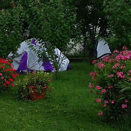 Pensiunea Abel Otel Mihai Viteazu  Dış mekan fotoğraf