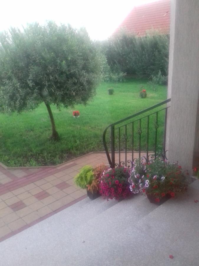 Pensiunea Abel Otel Mihai Viteazu  Dış mekan fotoğraf
