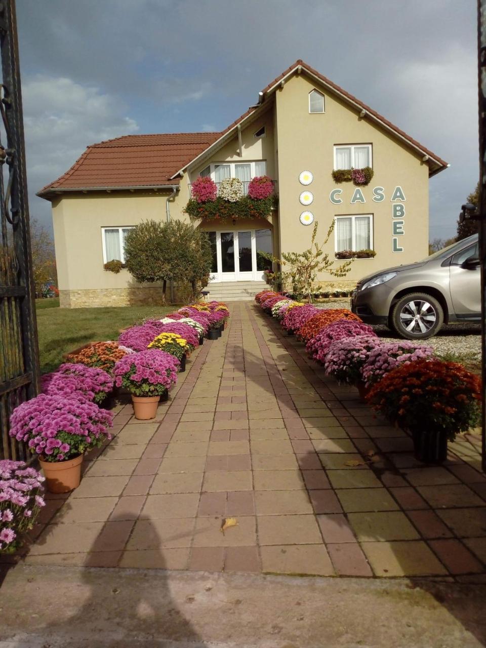 Pensiunea Abel Otel Mihai Viteazu  Dış mekan fotoğraf