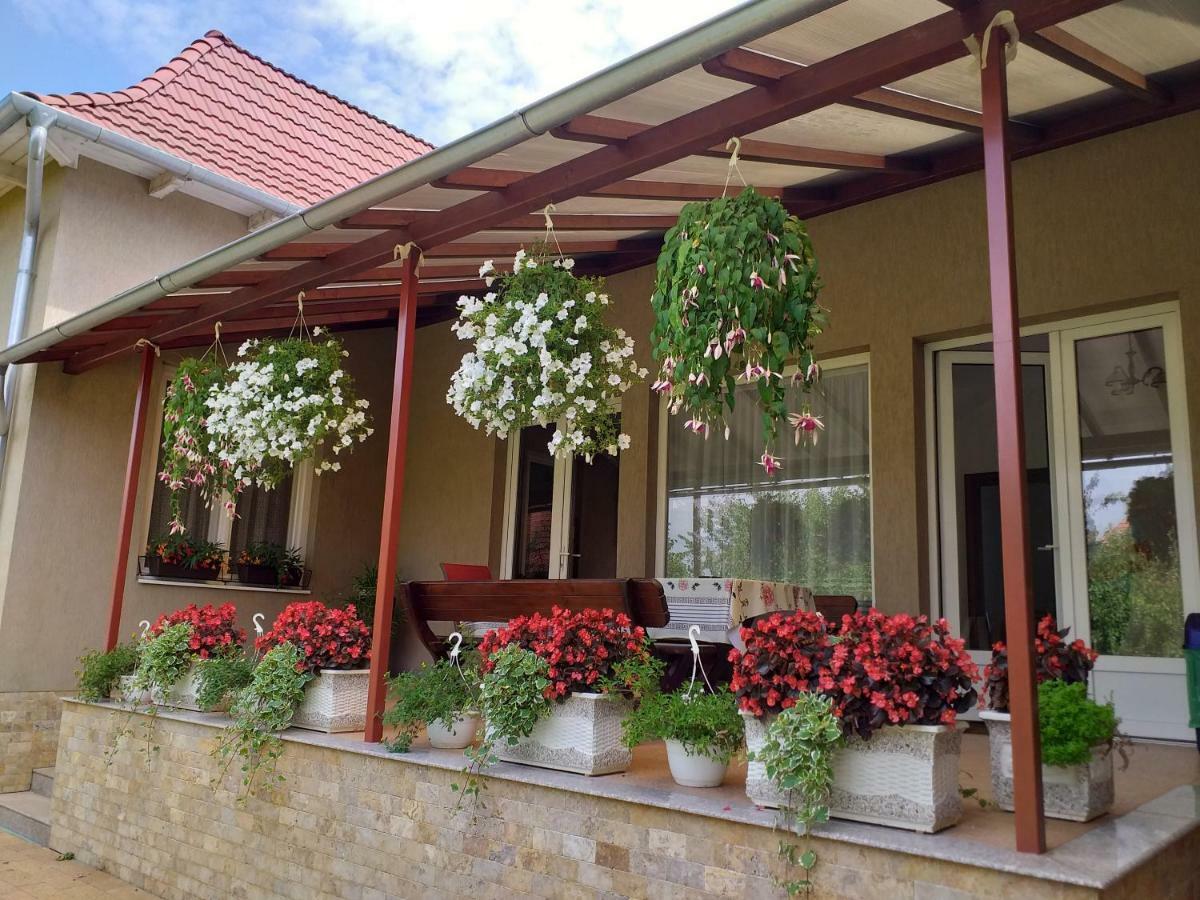 Pensiunea Abel Otel Mihai Viteazu  Dış mekan fotoğraf